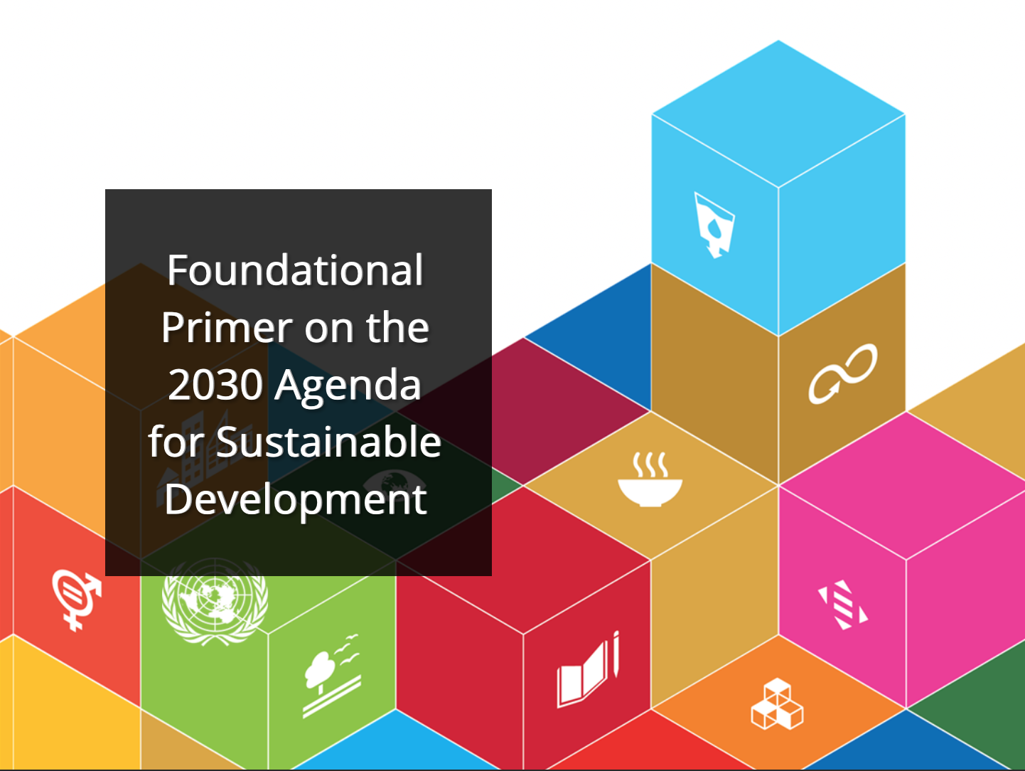 SDG Primer: Online course on the 2030 Agenda